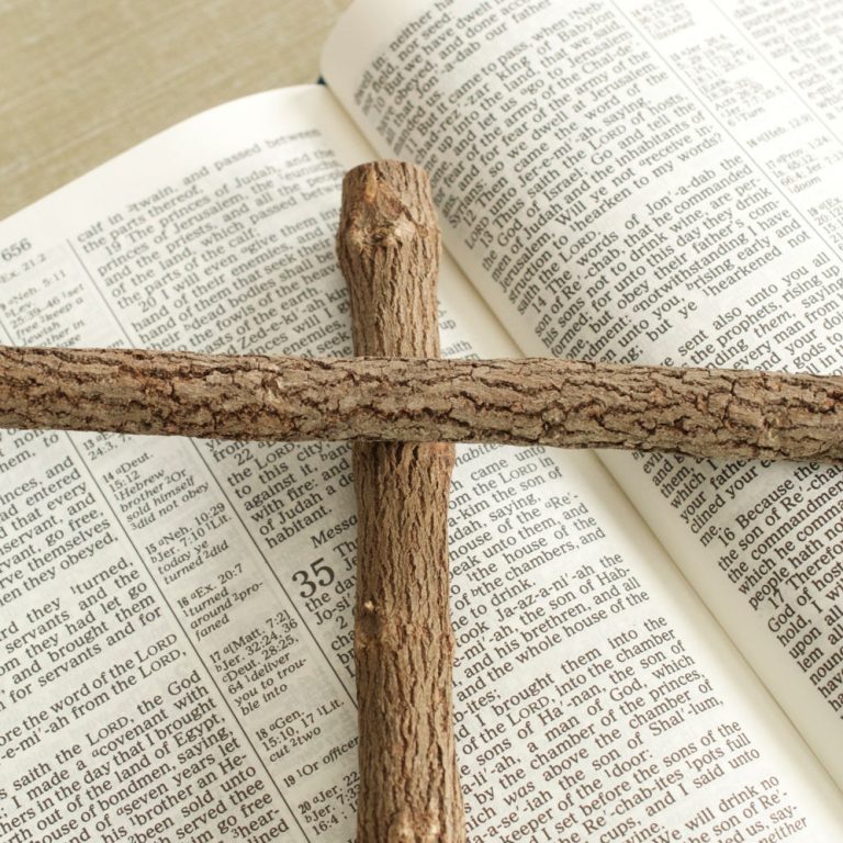 holyspirit_wordpress_theme_themeslr (32)